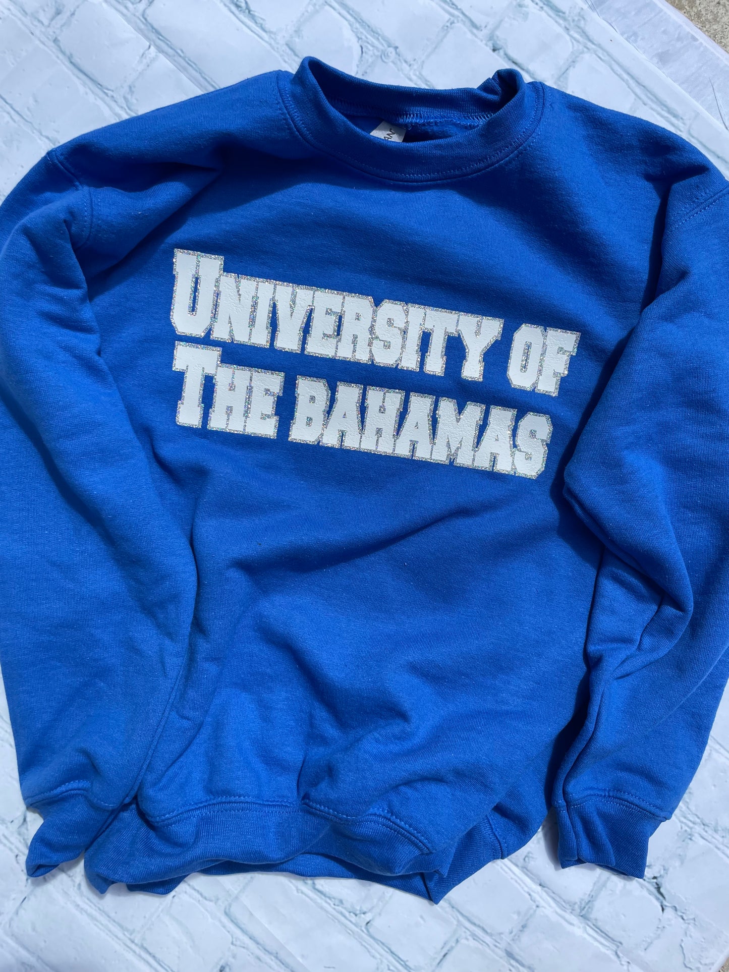 UNIVERSITY SWEATSHIRT *READ DESCRIPTION*